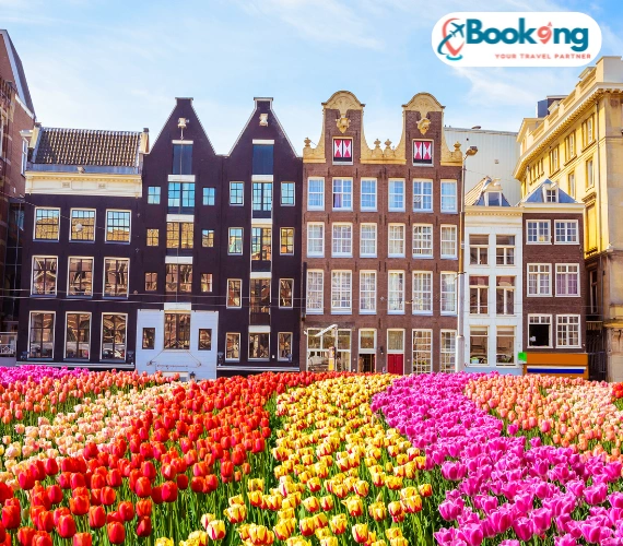 Netherlands Package