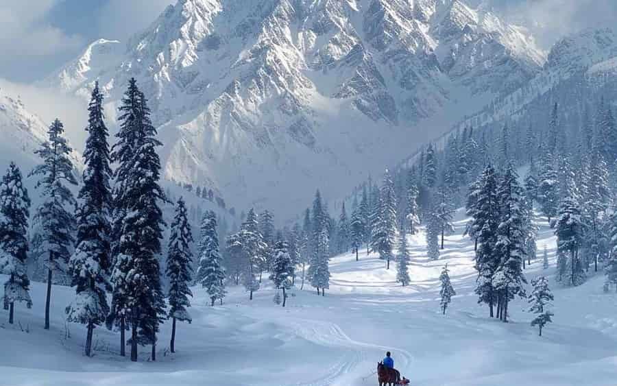 Kashmir Paradise Tour