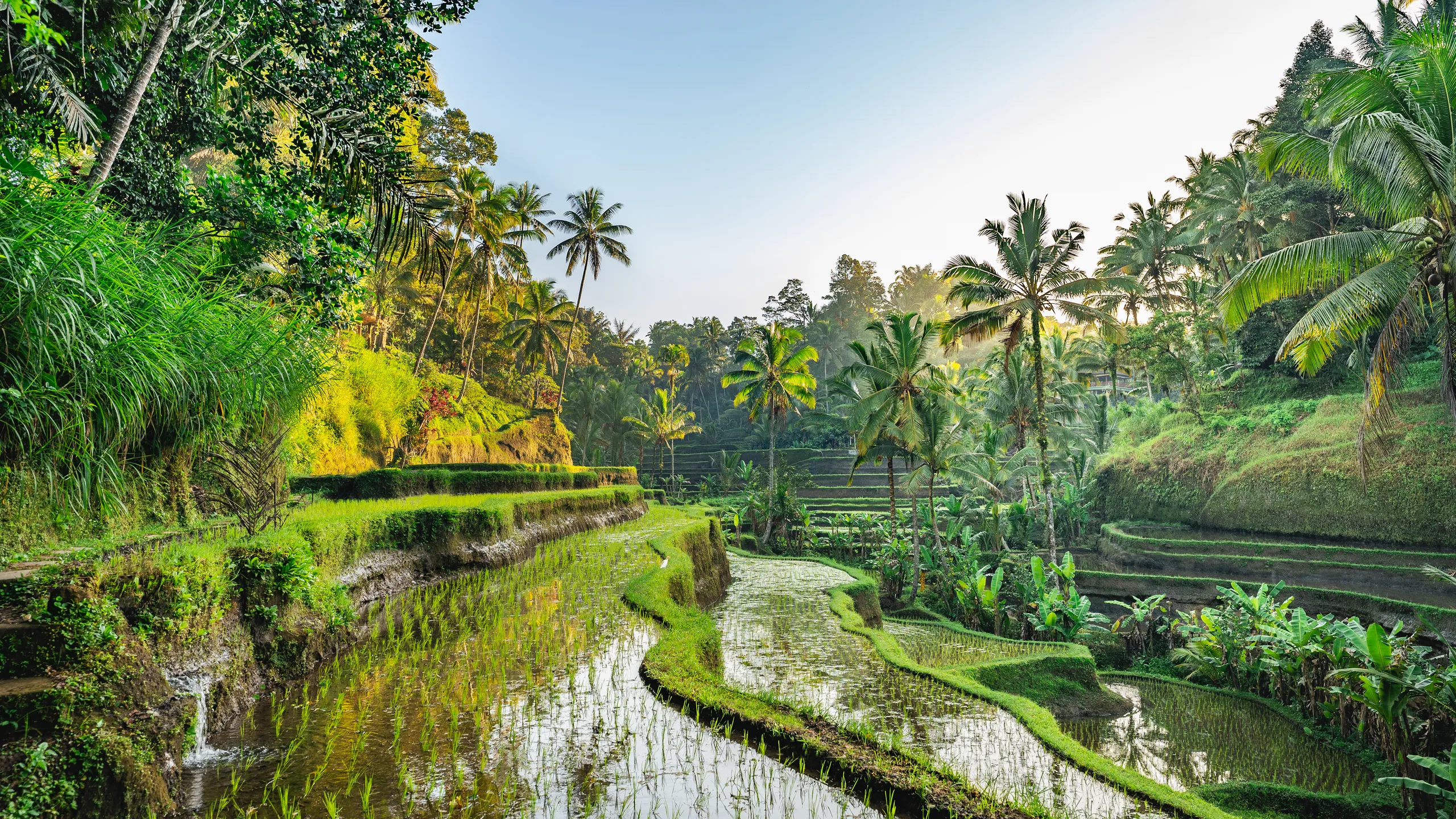 Bali Romantic Honeymoon Bliss – Ubud Villas & Uluwatu Sunsets